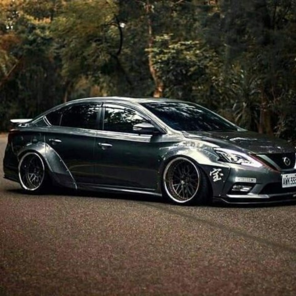 Meet your Posher, Loki - Picture 1 of 1